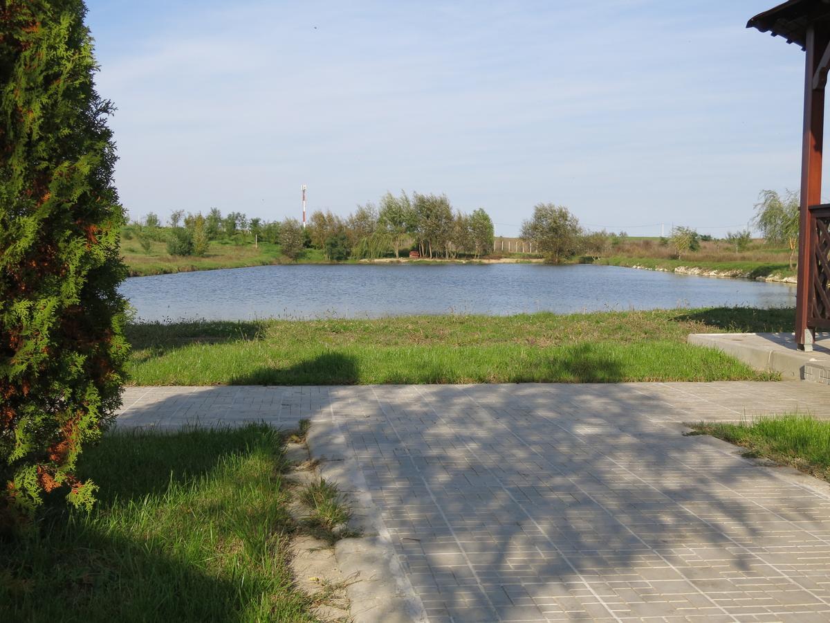 Conacul De Pe Lac Sagu 외부 사진